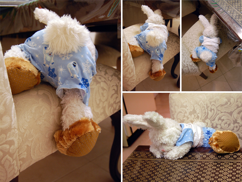 Almond Jello Show Picture