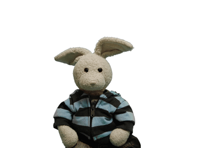 Chocolate Coffee Cake Show Picture