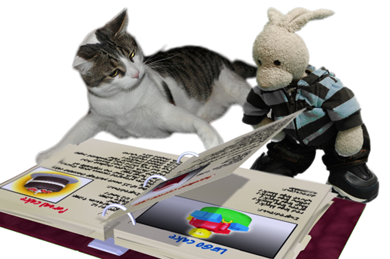 Chocolate Coffee Cake Show Picture