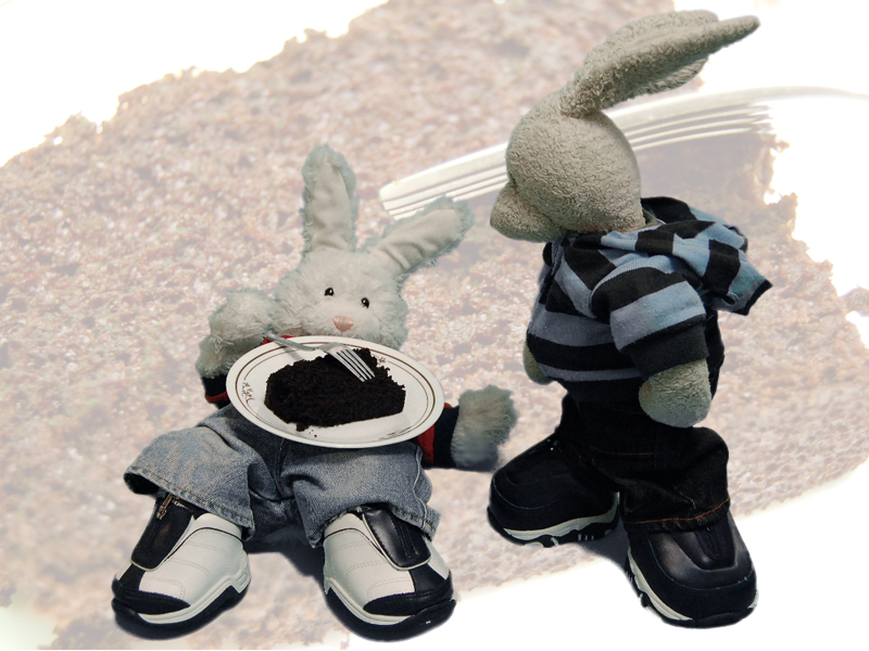 Chocolate Coffee Cake Show Picture