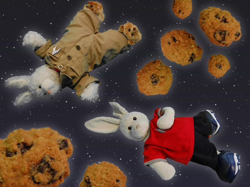 Oatmeal 'Space' Cookies Show Picture