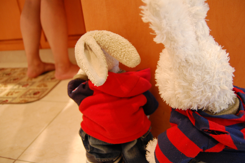 Thai Chicken Show Picture