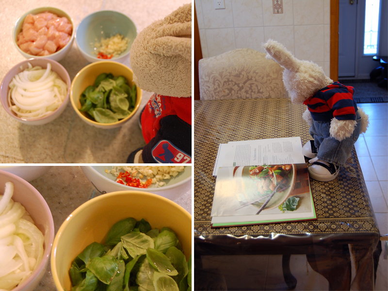 Thai Chicken Show Picture