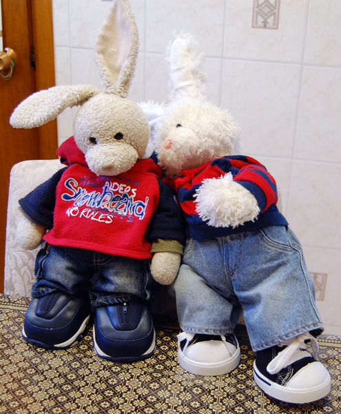 Thai Chicken Show Picture