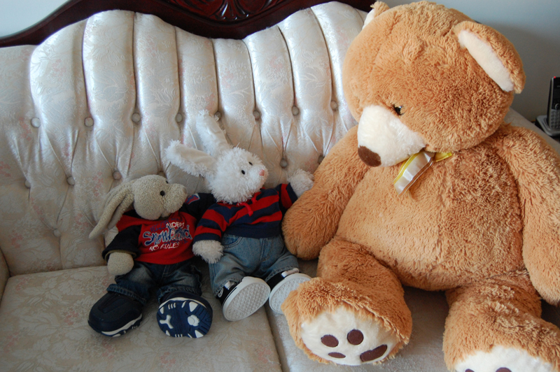 Thai Chicken Show Picture