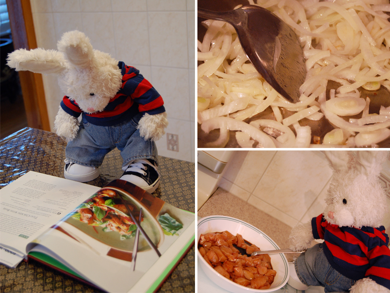 Thai Chicken Show Picture