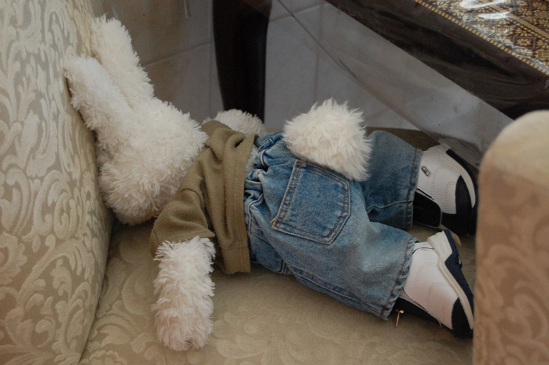 Dinner Party Show Picture