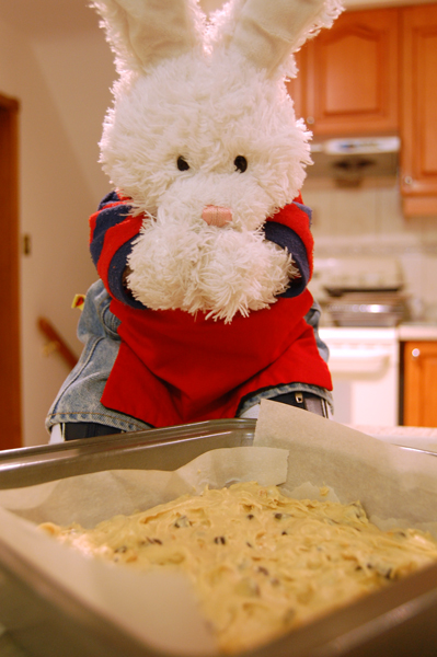 Peanut Butter Buddy Bars Show Picture