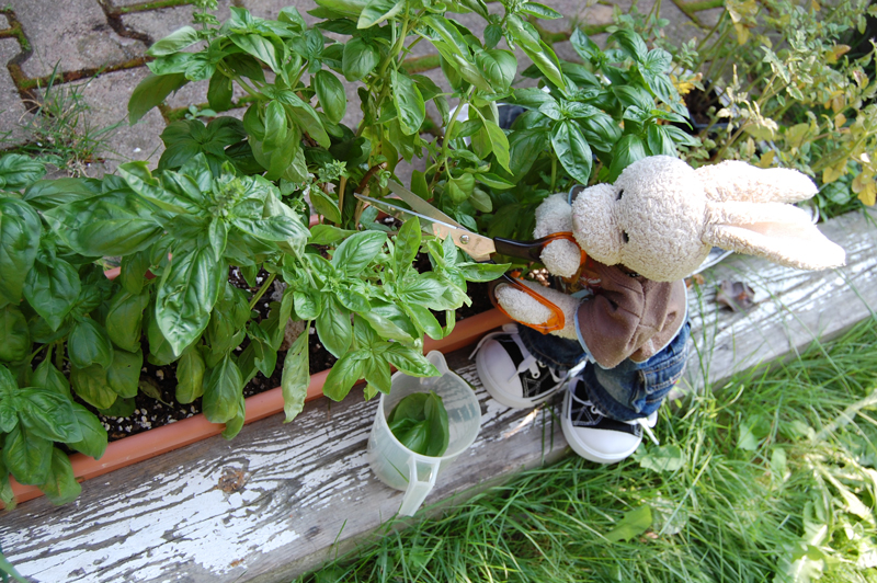 Quinoa Salad Show Picture