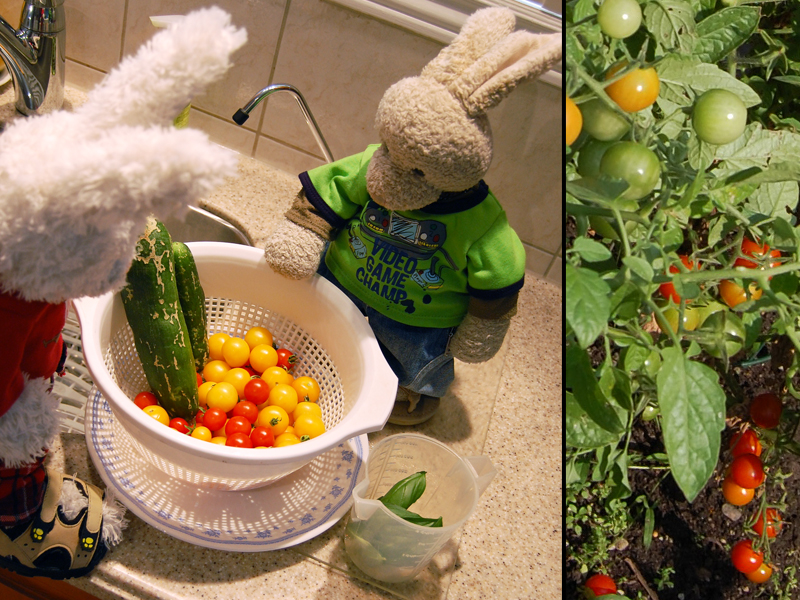 Quinoa Salad Show Picture