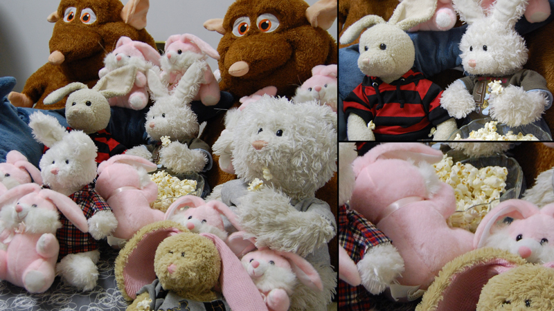 Movie Night Show Picture