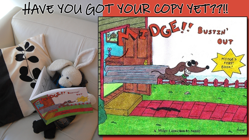 Banana Muffins Show Picture