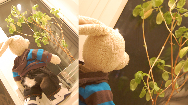 Vegetable Casserole Show Picture