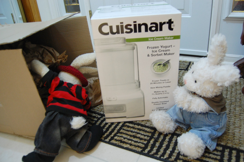 Matcha (Green Tea) Ice Cream Show Picture