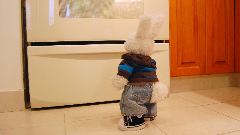 Zucchini Brownies Show Picture