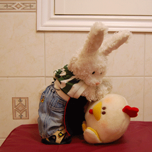 Peanut Butter Cookies Show Picture