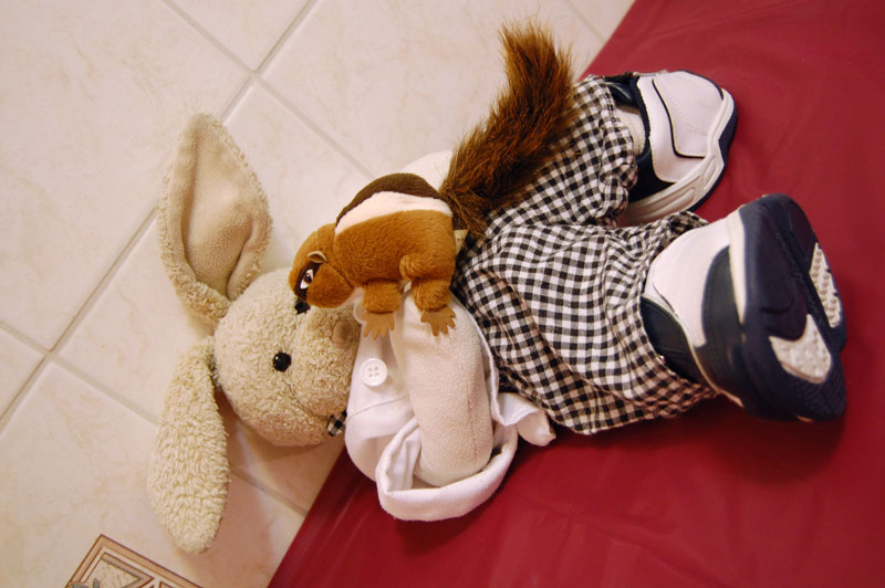 Peanut Butter Cookies Show Picture