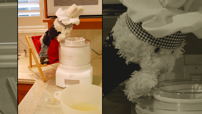 Lemon Sherbet Show Picture