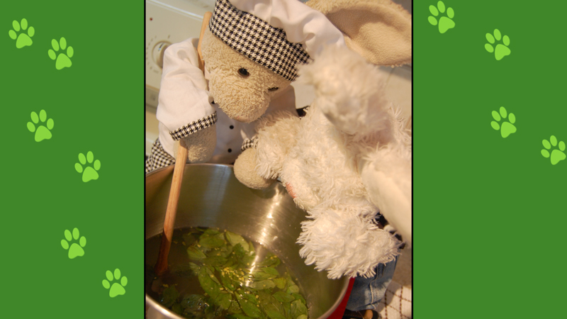 Lemon Sherbet Show Picture