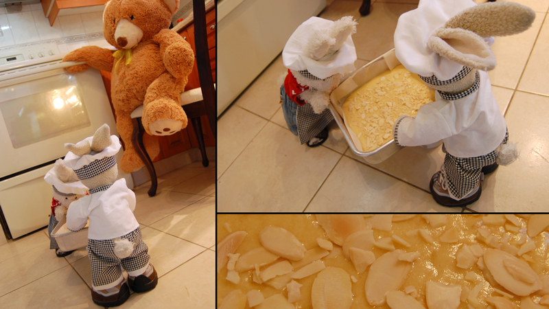 Honey Cake Show Picture