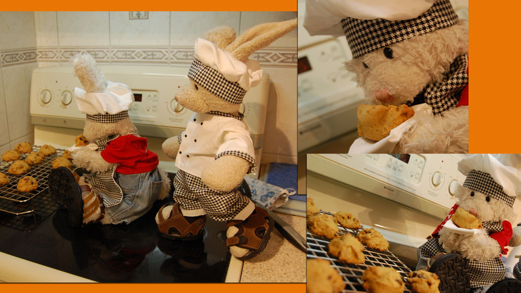 Pumpkin Chocolate Chip Cookies Show Picture