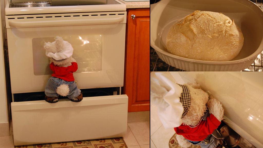 Crusty Bread Show Picture