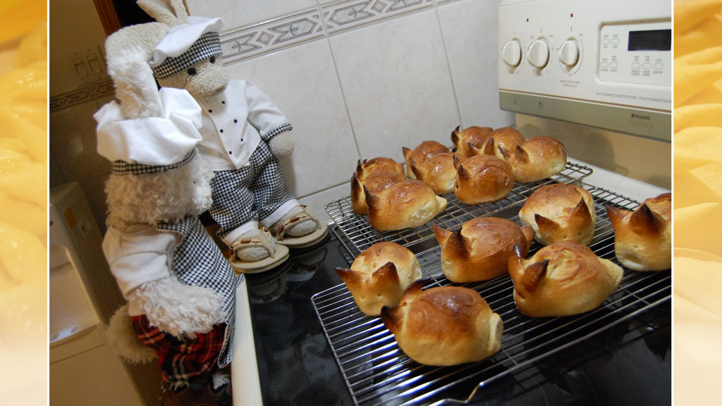 Honey Bunny Buns Show Picture