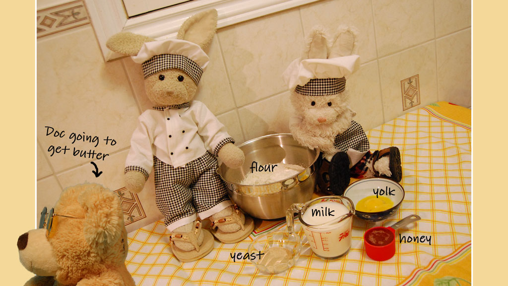 Honey Bunny Buns Show Picture