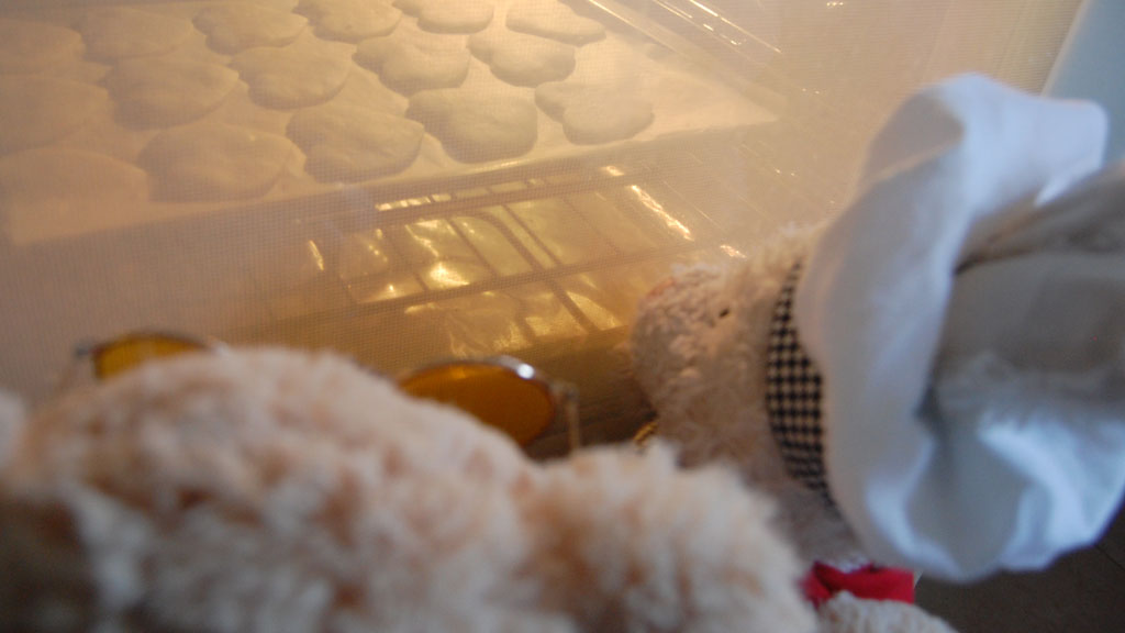 Chocolate Shortbread Cookies Show Picture