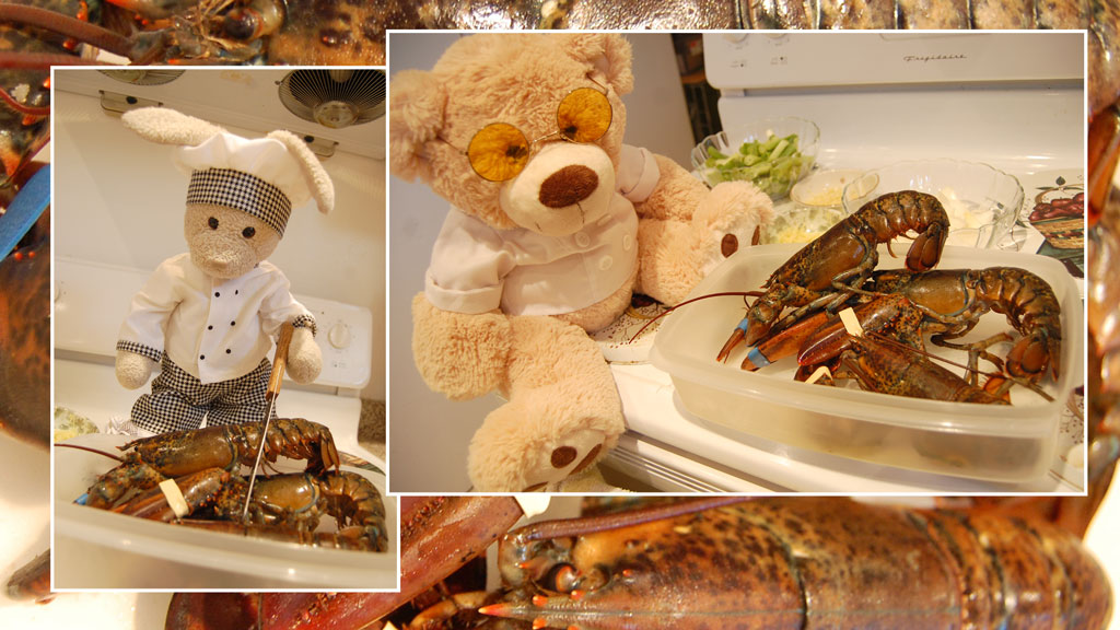 Lobster Show Picture