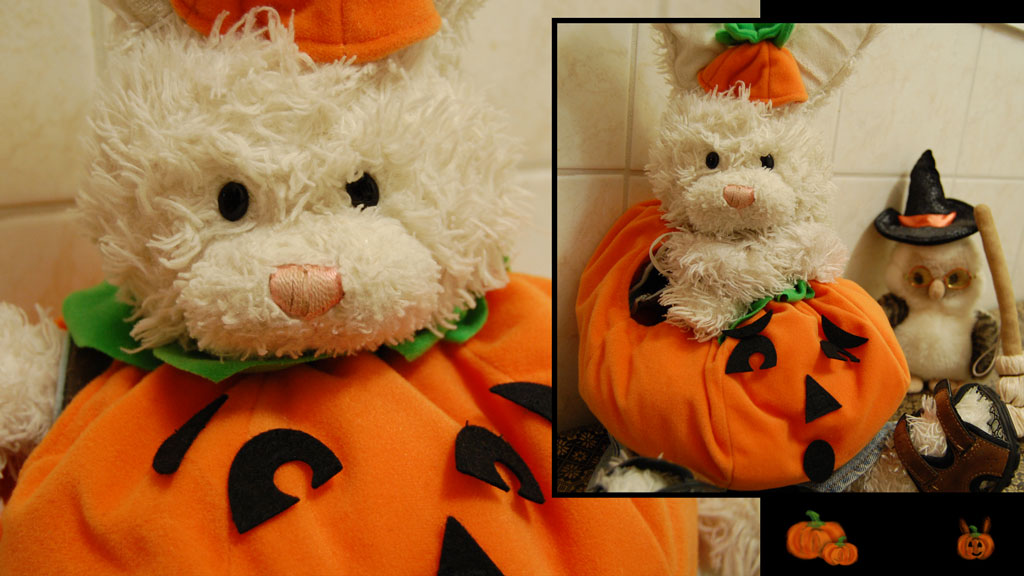 Halloween Special Severed Witch Fingers Show Picture