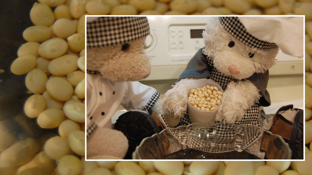 Soy Milk Show Picture