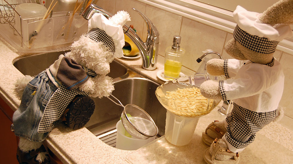 Soy Milk Show Picture