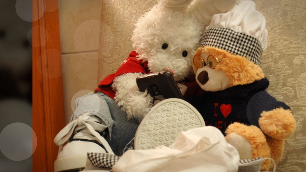 Flan Pudding Show Picture