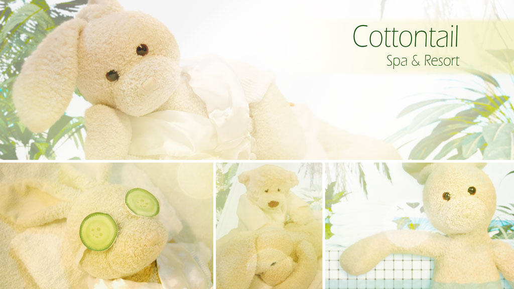 Flan Pudding Show Picture