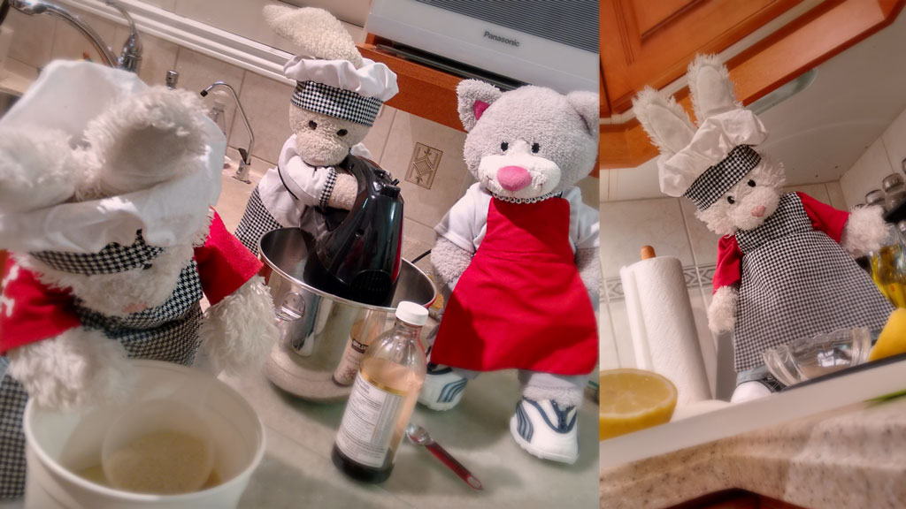 Cheesecake Show Picture