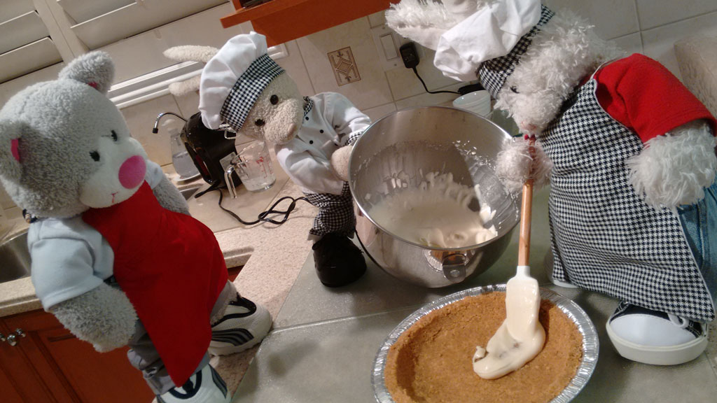 Cheesecake Show Picture