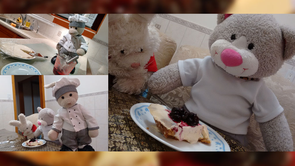 Cheesecake Show Picture