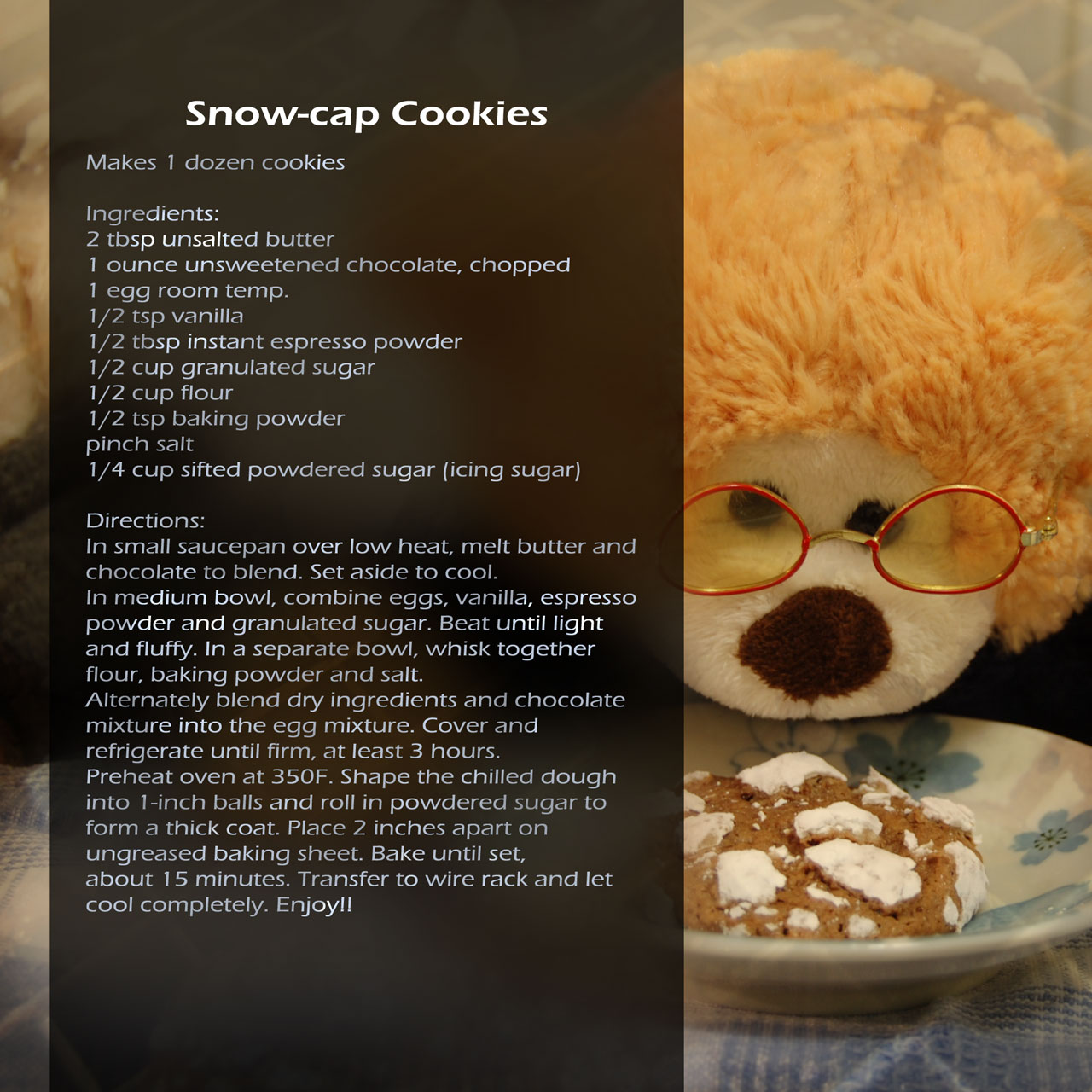 Plushie Iron Chef Show Picture