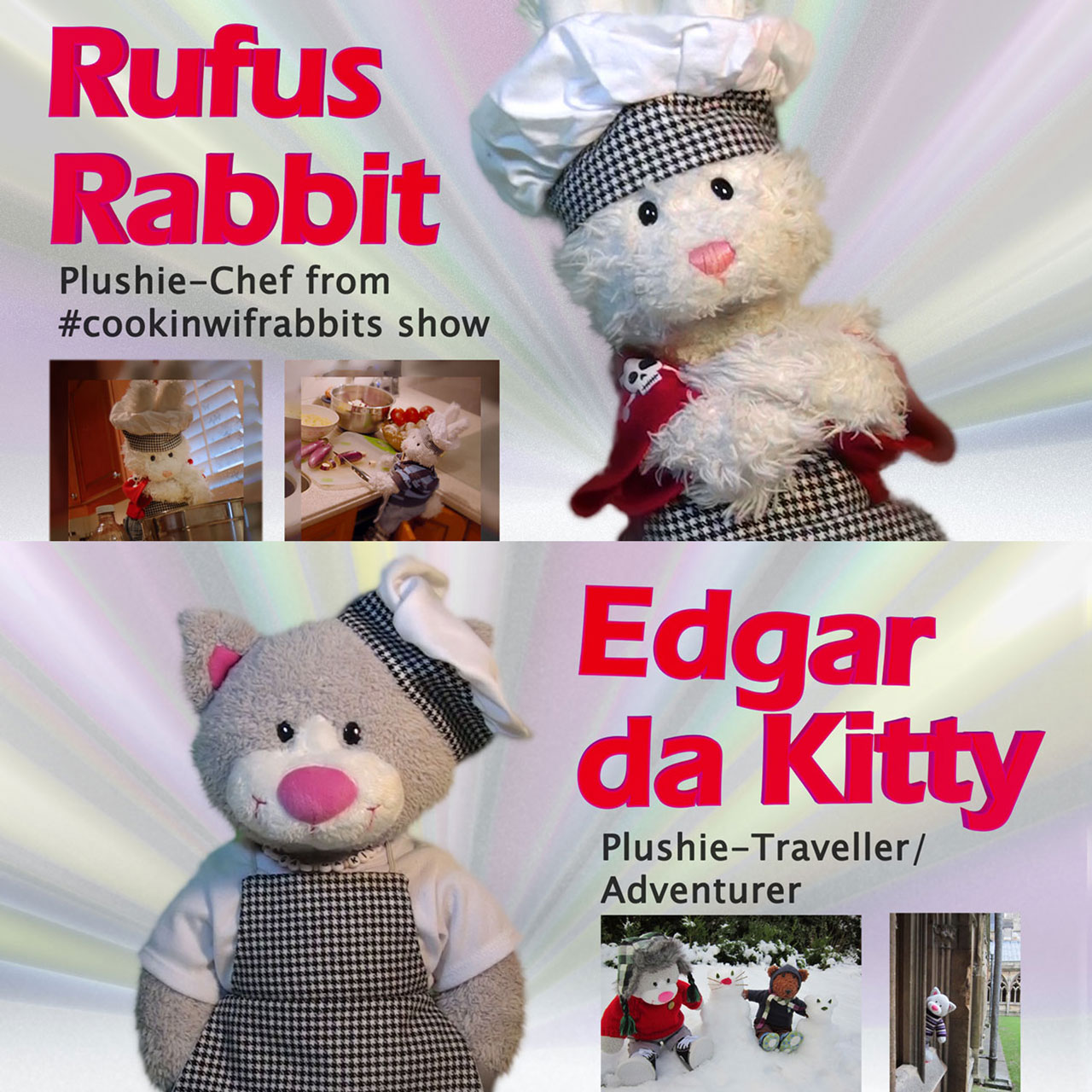 Plushie Iron Chef Show Picture