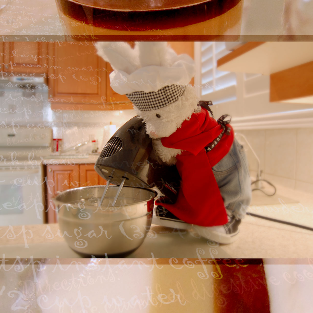 Plushie Iron Chef Show Picture